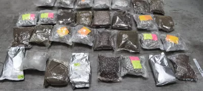 zaseg konoplje PU Koper