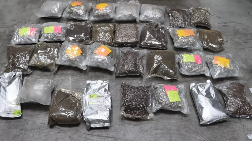 zaseg konoplje PU Koper