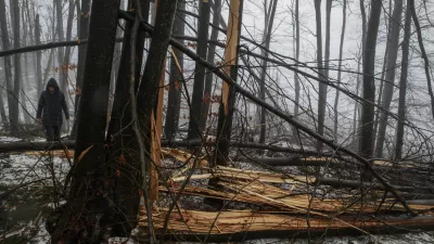 Stanje v gozdovih je bolj&scaron;e, kot so sprva kazali podatki iz gozdnih inventur za obdobje 2012&ndash;2018, je pojasnil Primož Simončič, raziskovalec na Gozdarskem in&scaron;titutu Slovenije, ki ga je v preteklosti tudi vodil. Fotografija je simbolična.
Foto: Luka Cjuha