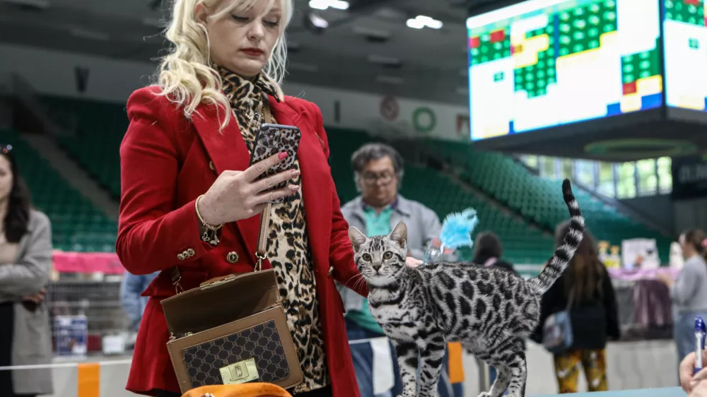 18.05.2025 - razstava mačk Hala tivoliFoto: Luka Cjuha