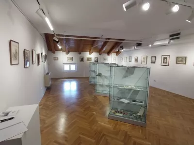 Razstava v Tartinijevi hi&scaron;i