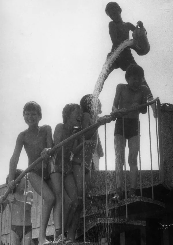 Junij je most med pomladjo in poletjem