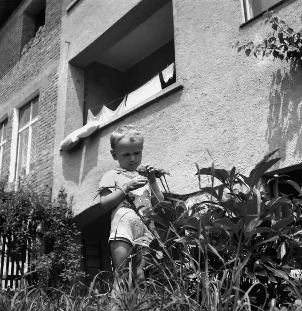 Junij je most med pomladjo in poletjem