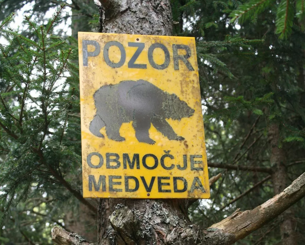 območje medveda / Foto: Javni Zavod Snežnik