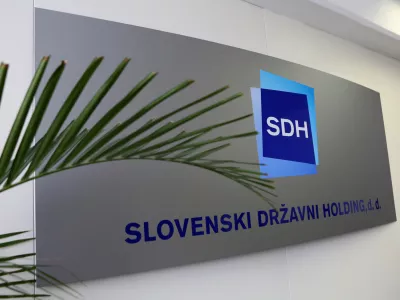 SDH zaradi izgube statusa javnega interesa v vlogi ustanovitelja ali družbenika &scaron;e ni ukinil nadzornega sveta v nobeni od družb. Foto: Tomaž Skale