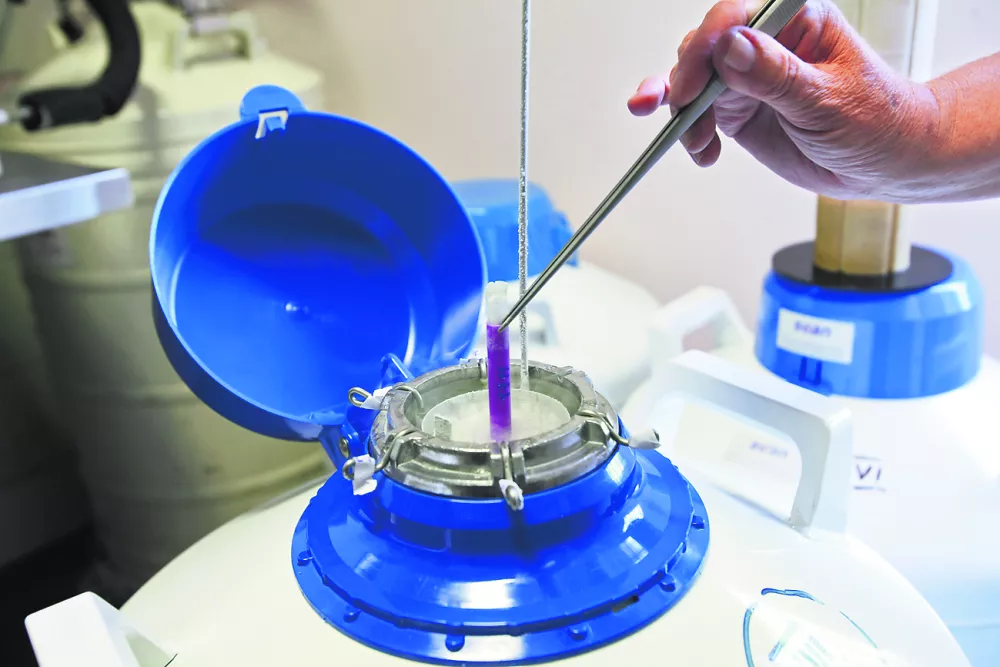 - spermalna banka - KO za reprodukcijo Ginekolo&scaron;ke klinike, Zalo&scaron;ka 2//FOTO: Luka Cjuha------3-kolonsko