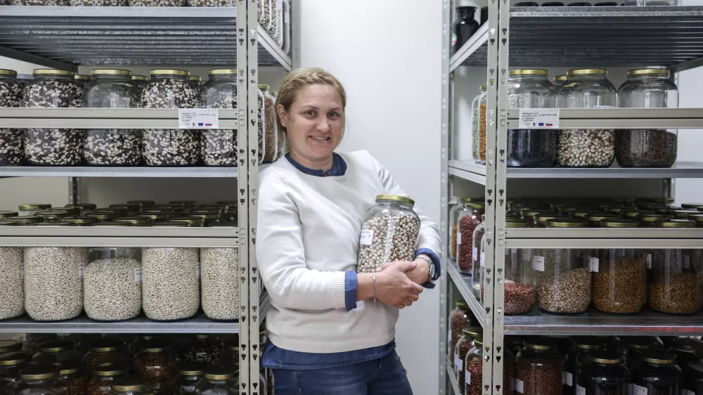 - 22.05.2025 - Maja Kolar- strokovnjakinja za biodinamiko in vzgojo avtohtonih ekolo&scaron;kih semen//FOTO: Jaka Gasar