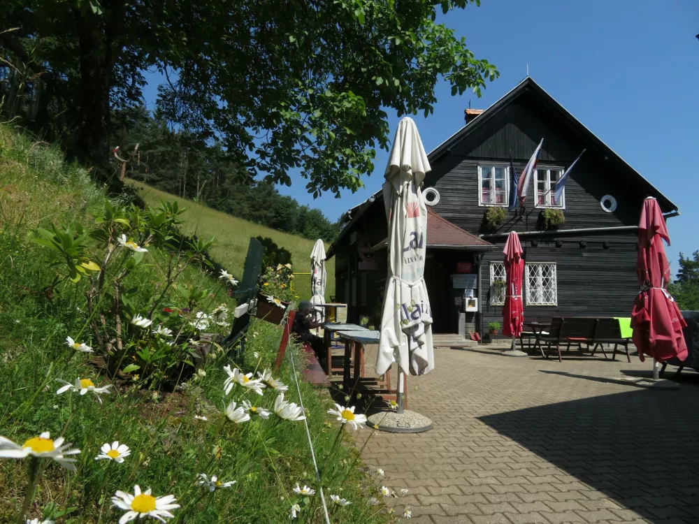 GOVEJEK PLANINSKA KOCA POLHOGRAJCI