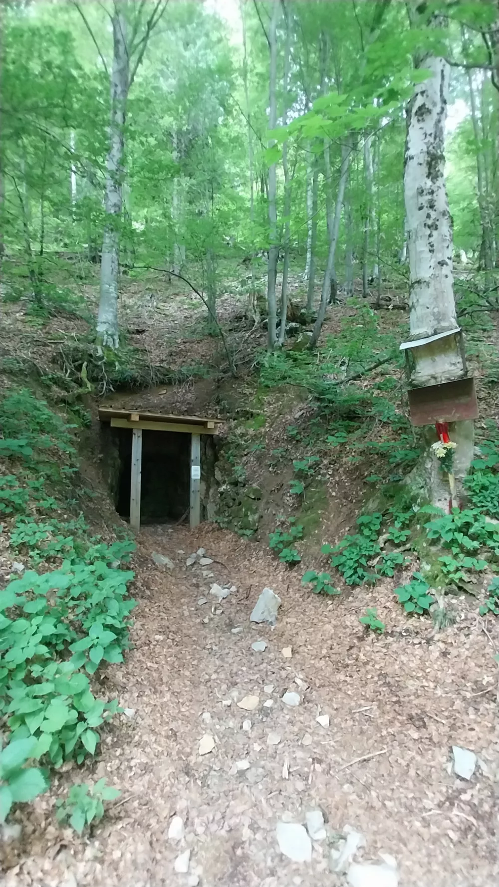 &Scaron;entanski rudnik, kjer so nekoč pridobivali živo srebro, se nahaja 9 kilometrov severno od Tržiča, pri zaselku Lajb.