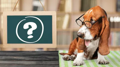 Dog question mark thoughtful advice animal answers / Foto: Artisteer