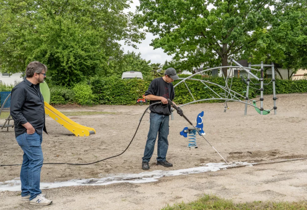 Tapinoma magnum, invazivna mravljaMravlje, črne mravlje, invazija mravelj, &scaron;kodljivci, žuželkeFoto: Uradna stran mesta Kehl v Nemčiji