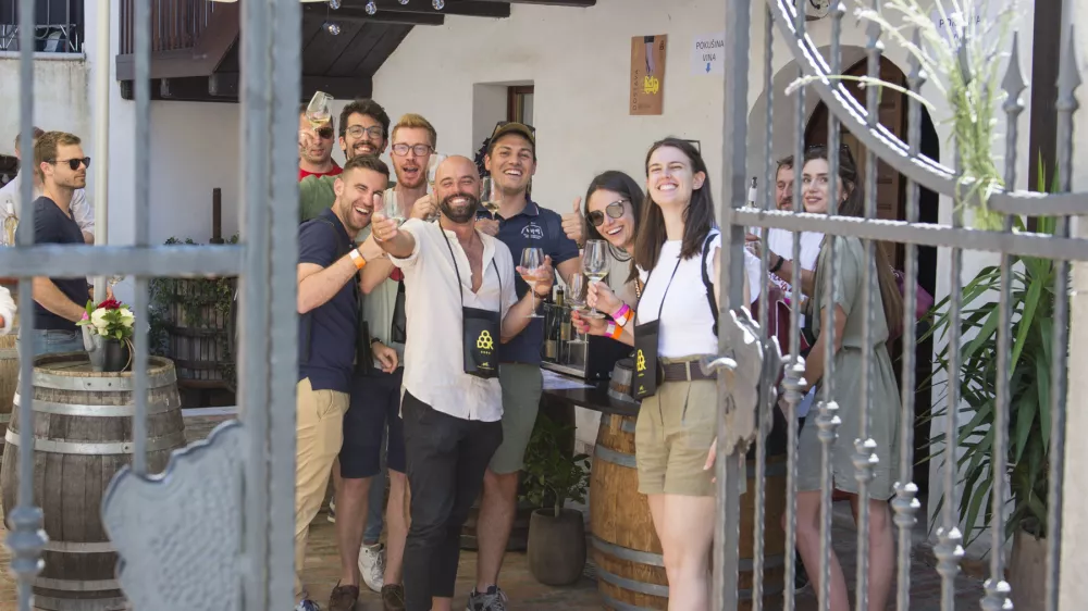 Vinarija &Scaron;čurek