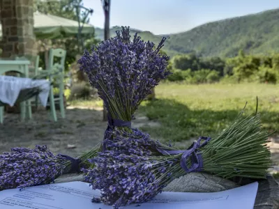 Zeli&scaron;čni vrtovi in kmetije v Istri bodo ta konec tedna odprli svoja vrata. F Bojan Brada Kaspar
