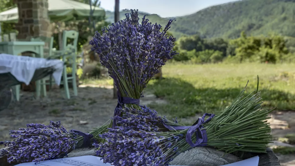 Zeli&scaron;čni vrtovi in kmetije v Istri bodo ta konec tedna odprli svoja vrata. F Bojan Brada Kaspar