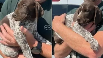 Gina in Gabi bosta zadolženi za iskanje tobaka in droge. 