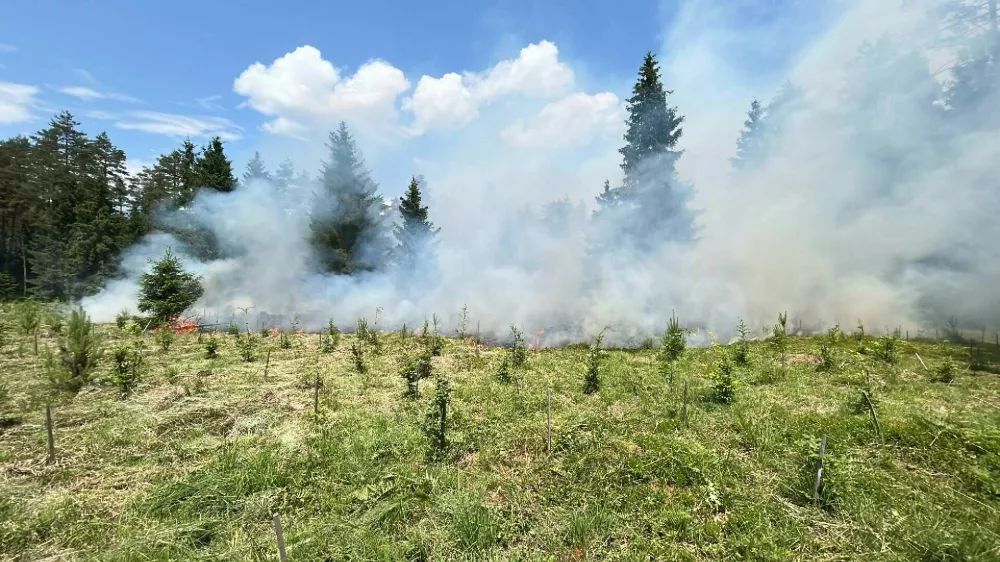 Gori v gozdu med Trbojami in Smlednikom. 