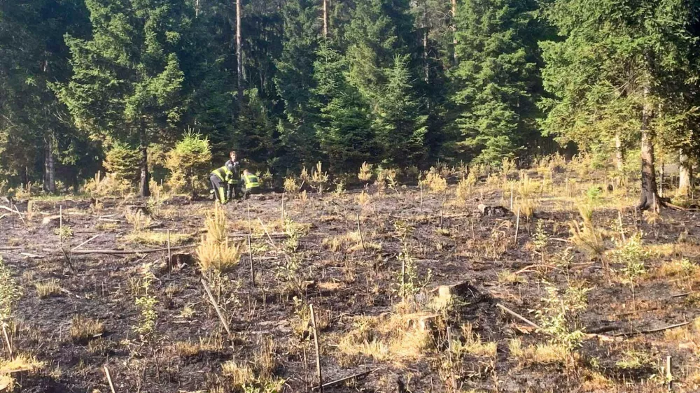 požar pogori&scaron;če smlednik