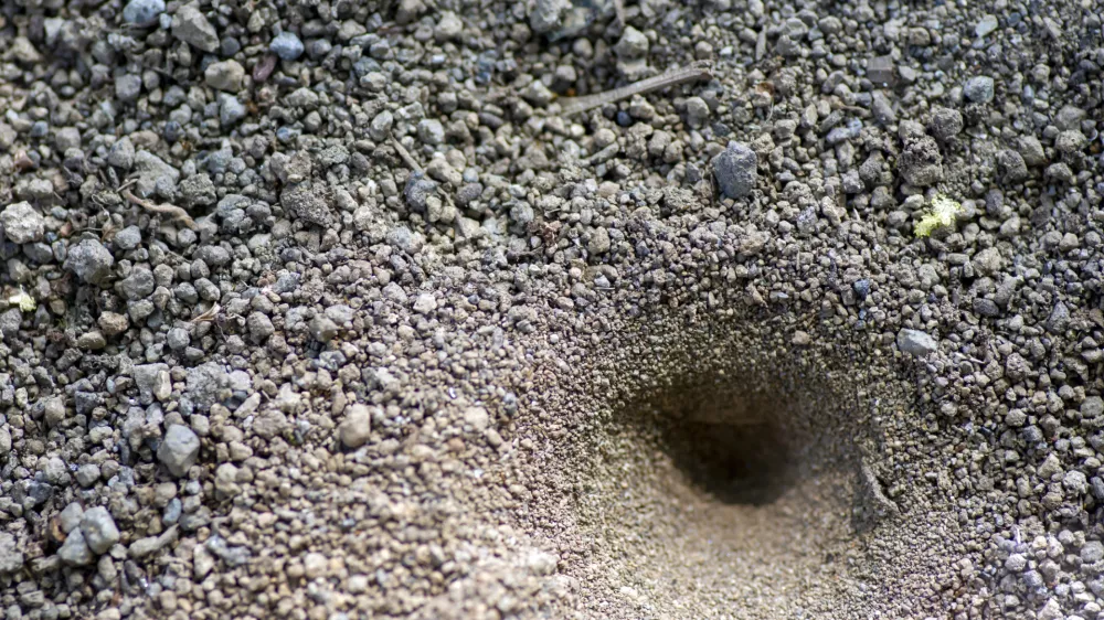 Slika je simbolična. / Foto: Istock