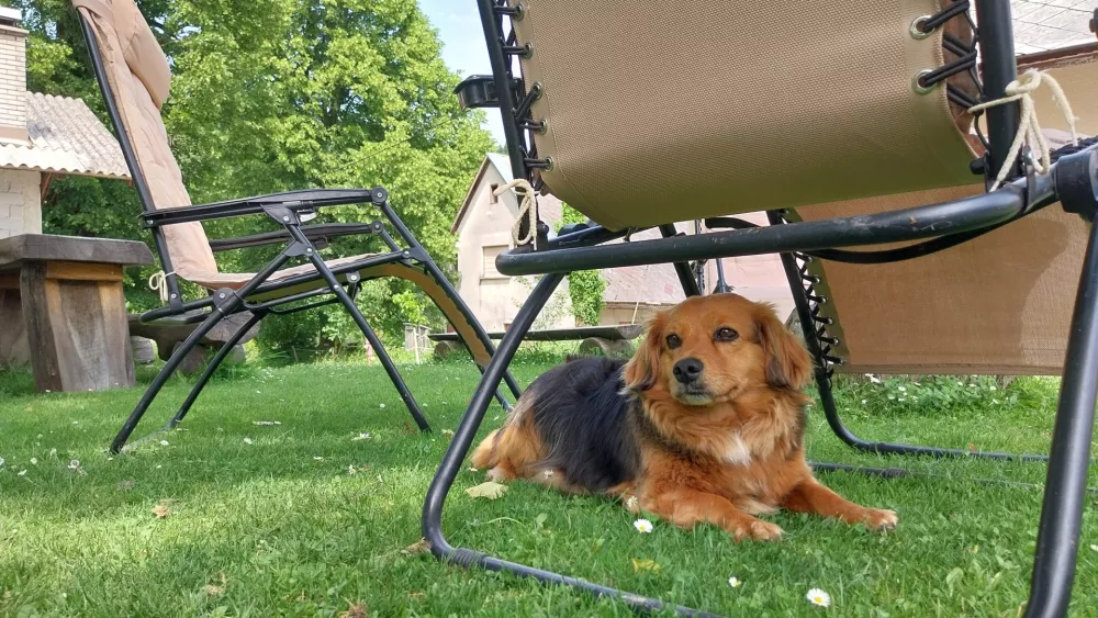 Domačini lepo sprejeli mestne srajce