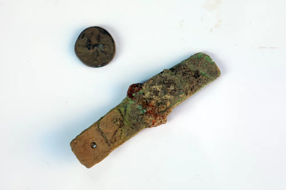 Presenetljivo odkritje na Prulah