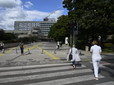 Obrezali bodo drevesa ob plo&scaron;čadi