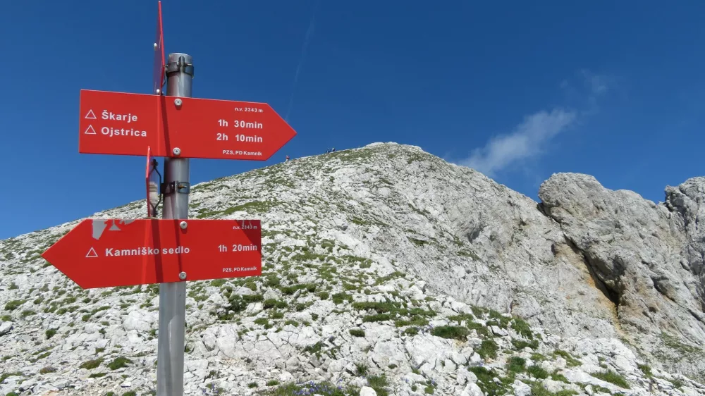 REPOV KOT PLANJAVA KAMNI&Scaron;KO SEDLO