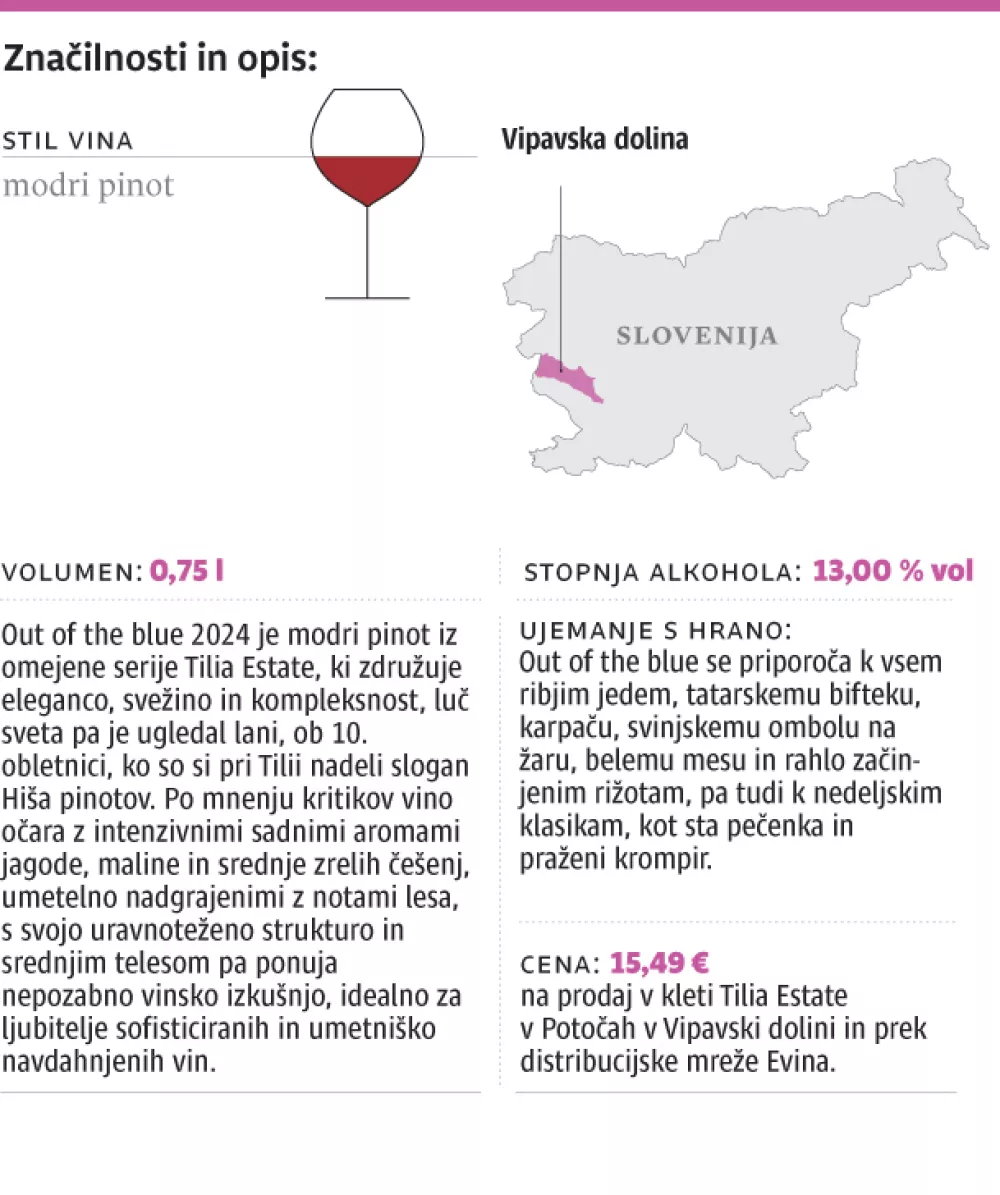 2025-06-16-ocena- vina-web