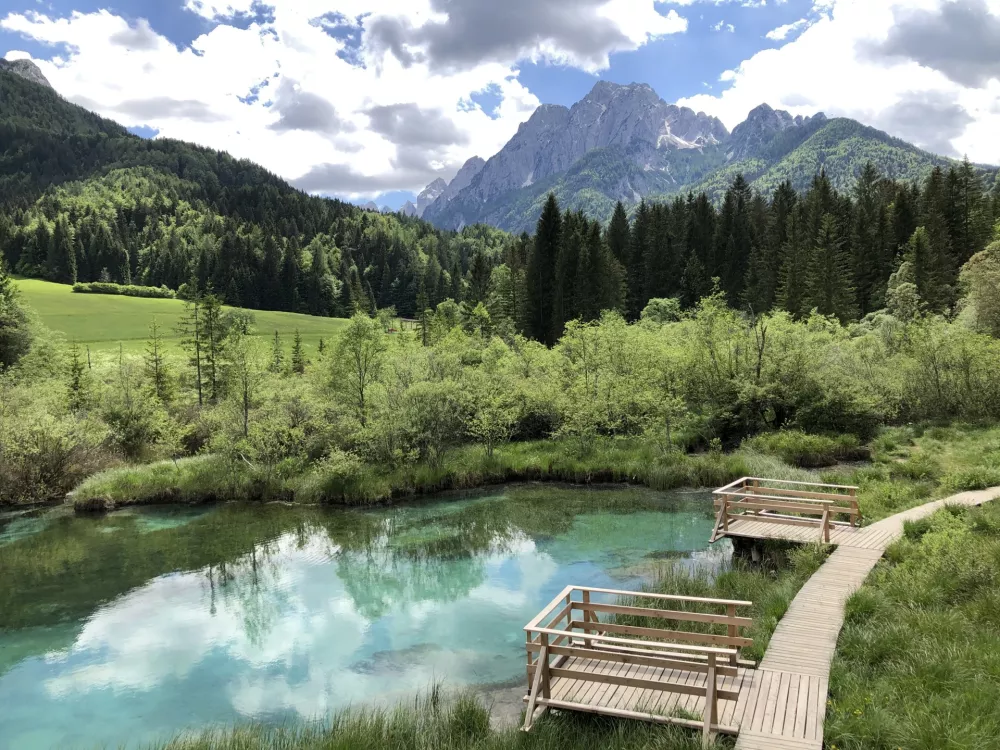 Naravni rezervat Zelenci je dobil ime po samaragdno zelenem jezeru, ki prevladuje nad močvirjem in ki tudi pozimi ne zamrzne. F Nata&scaron;a Makovec