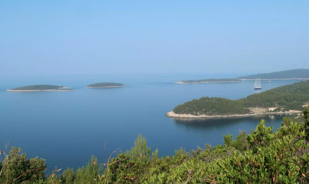 Bezosovo razko&scaron;no jadrnico so te dni opazili tudi ob Korčuli. Foto: Tatjana Pihlar