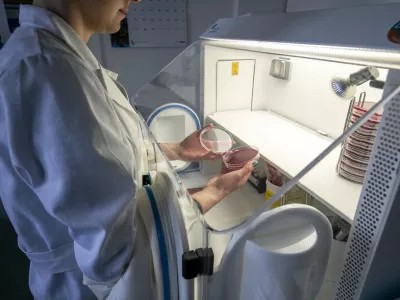 Kaj pomeni &scaron;irjenje nove virusne različice?