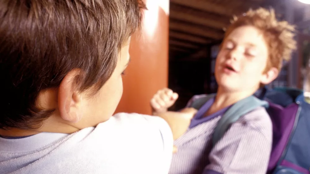 Portrait of two young boys having a fight / Foto: Michel Touraine (rf)