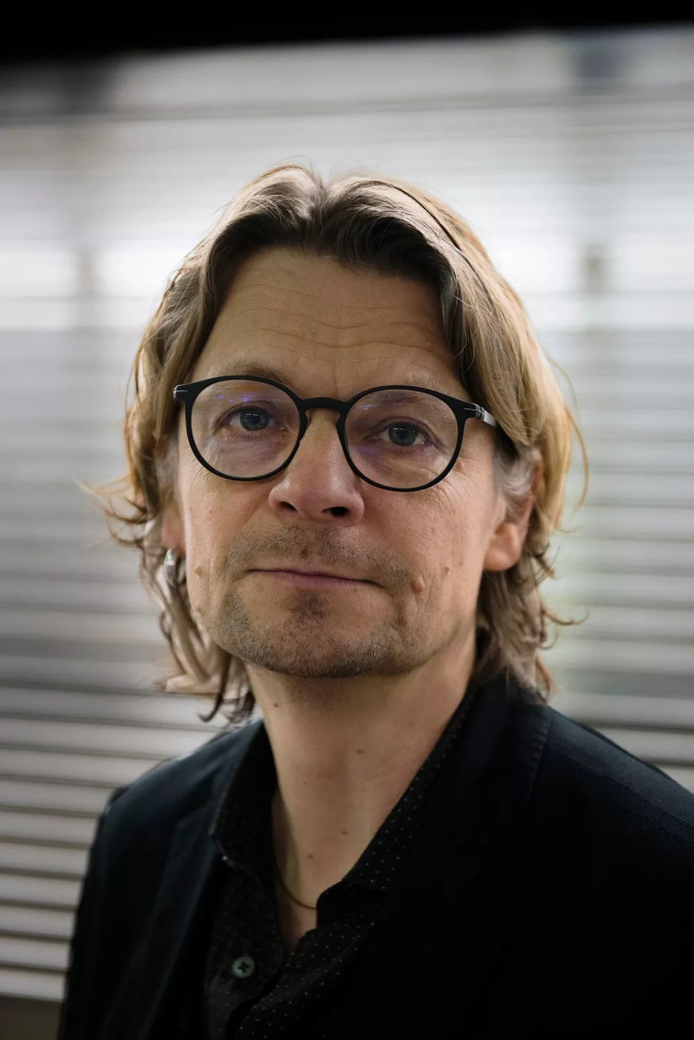 Peo Hansen, profesorja politologije