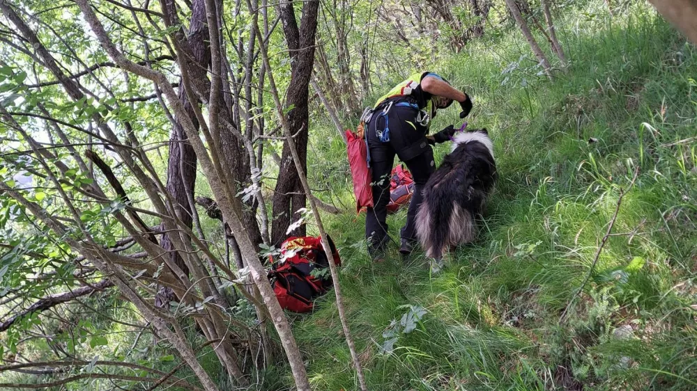Ljubljanski gorski re&scaron;evalci so v Pungertu na pomoč priskočili psički. 