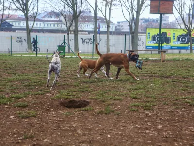 - 14.12.2015 - Pasji park Župančičeva jama v Ljubljani - pasje igri&scaron;če med Vilharjevo in Železno cesto, nasproti železni&scaron;kega podhoda  - pes - psi  //FOTO: Bojan Velikonja