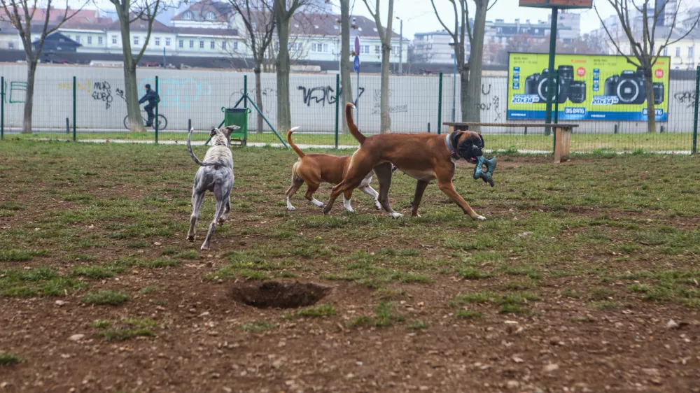 - 14.12.2015 - Pasji park Župančičeva jama v Ljubljani - pasje igri&scaron;če med Vilharjevo in Železno cesto, nasproti železni&scaron;kega podhoda  - pes - psi  //FOTO: Bojan Velikonja