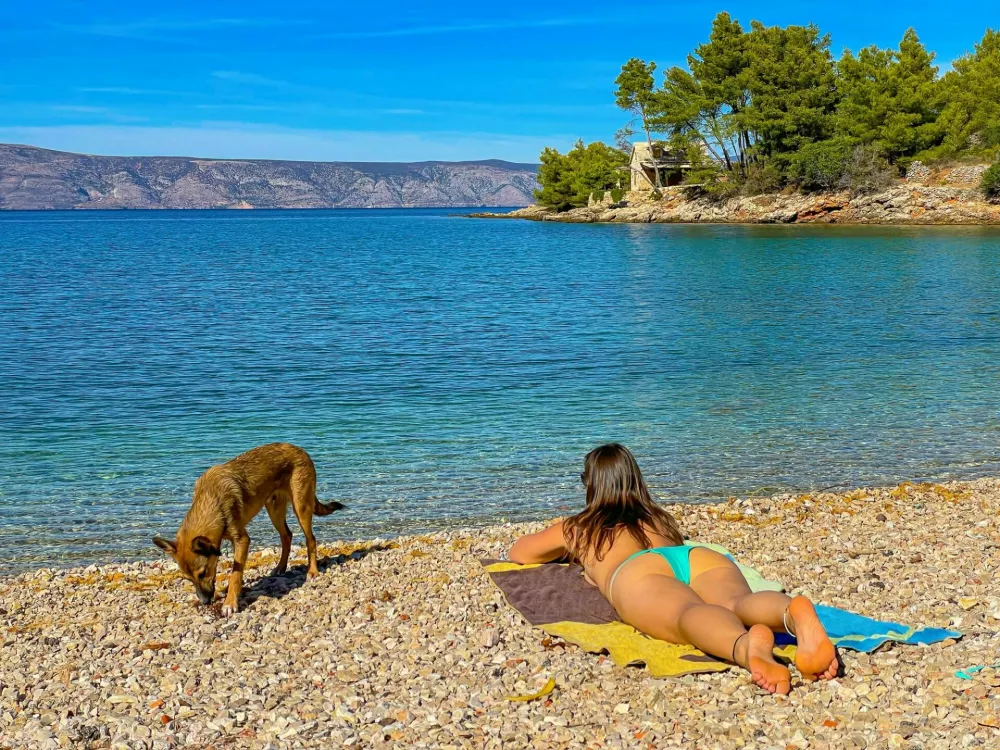 Pretty lady is sunbathing and her cute dog is exploring gorgeous pebble beach. Young woman is on summer holidays with her brown puppy and they are enjoying sunny days on pebble shore by the blue sea. / Foto: Helivideo
