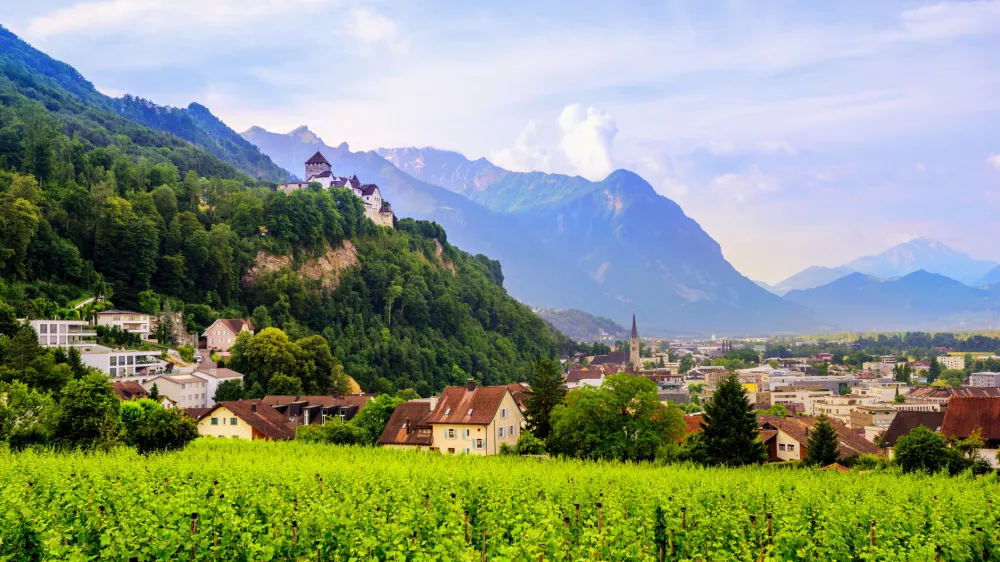 Vaduz z gradom na hribu. Od tam je krenila vojska in se tja tudi vrnila. / Foto: Istock
