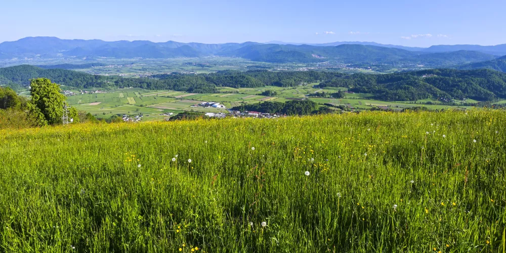 Panoramski pogled na Ljubljansko barje. / Foto: Franci Horvat