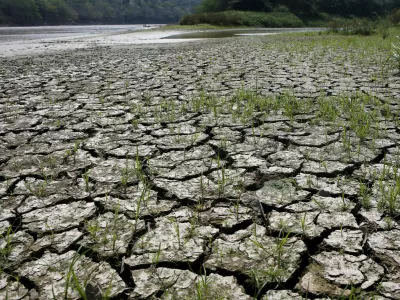 FILE PHOTO: An area is uncovered by the lowering of the water level from the Magdalena river, the longest and most important river in Colombia, due to the lack of rain, in the city of Honda, January 14, 2016. While flooding and intense rain wreak havoc on several countries in Latin America, El Nino brings other harmful effects to Colombia with severe drought. Picture taken January 14, 2016. REUTERS/John Vizcaino/File Photo