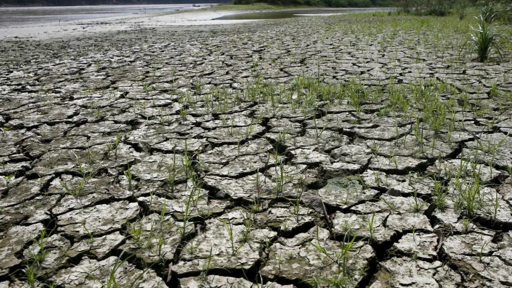 FILE PHOTO: An area is uncovered by the lowering of the water level from the Magdalena river, the longest and most important river in Colombia, due to the lack of rain, in the city of Honda, January 14, 2016. While flooding and intense rain wreak havoc on several countries in Latin America, El Nino brings other harmful effects to Colombia with severe drought. Picture taken January 14, 2016. REUTERS/John Vizcaino/File Photo