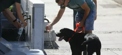 13.08.2024 - vročina - vročinski val - turistična sezona - poletje v Ljubljani - pitnik - osvežitevFOTO: Luka Cjuha