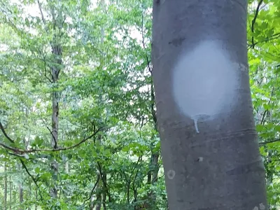 Prebarvane markacije v dolini Vrata.