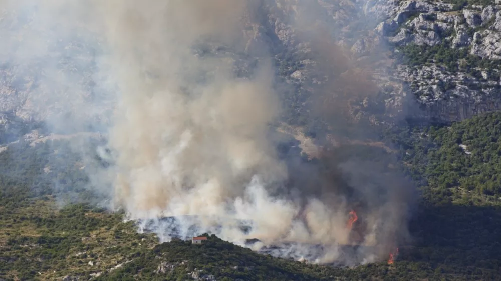 Požar je zajel makijo in drugo rastlinje. Foto: Facebook