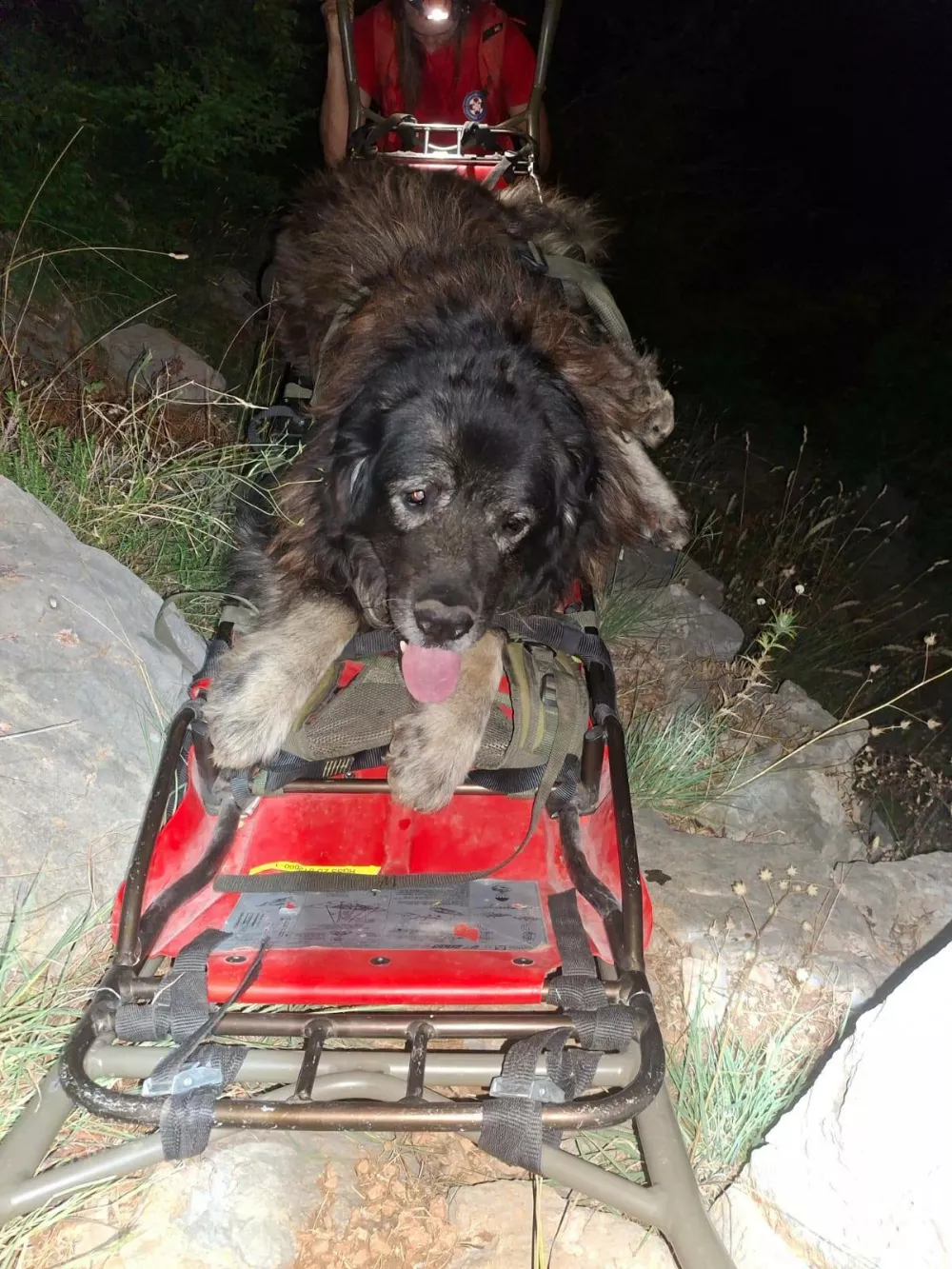 Dobro uro sta se re&scaron;evalca Ante in Dora trudila, da sta močno oslabljenega psa z nosili po strmem terenu pripeljala do avtomobila. Foto: HGSS Zadar 