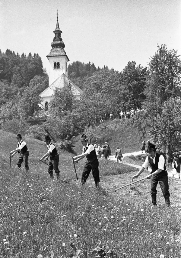Avgusta so delu na polju ni dalo izogniti. / Foto: Edi &Scaron;elhaus
