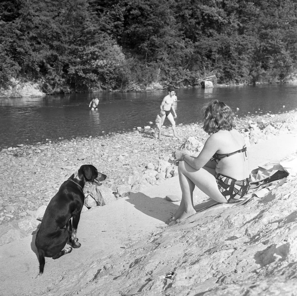Pasja vročina&nbsp;/ Foto: Marjan Ciglič, hrani Muzej novej&scaron;e in sodobne zgodovine Slovenije