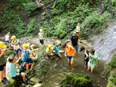 Čofot v vodi / Foto: Arhiv Urlauba