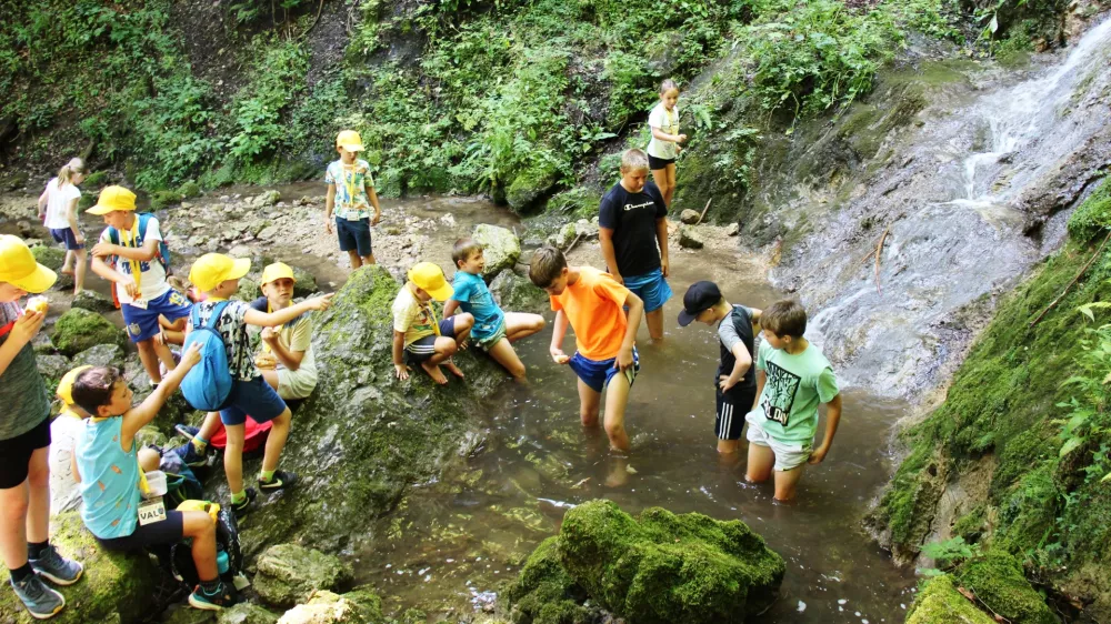 Čofot v vodi / Foto: Arhiv Urlauba