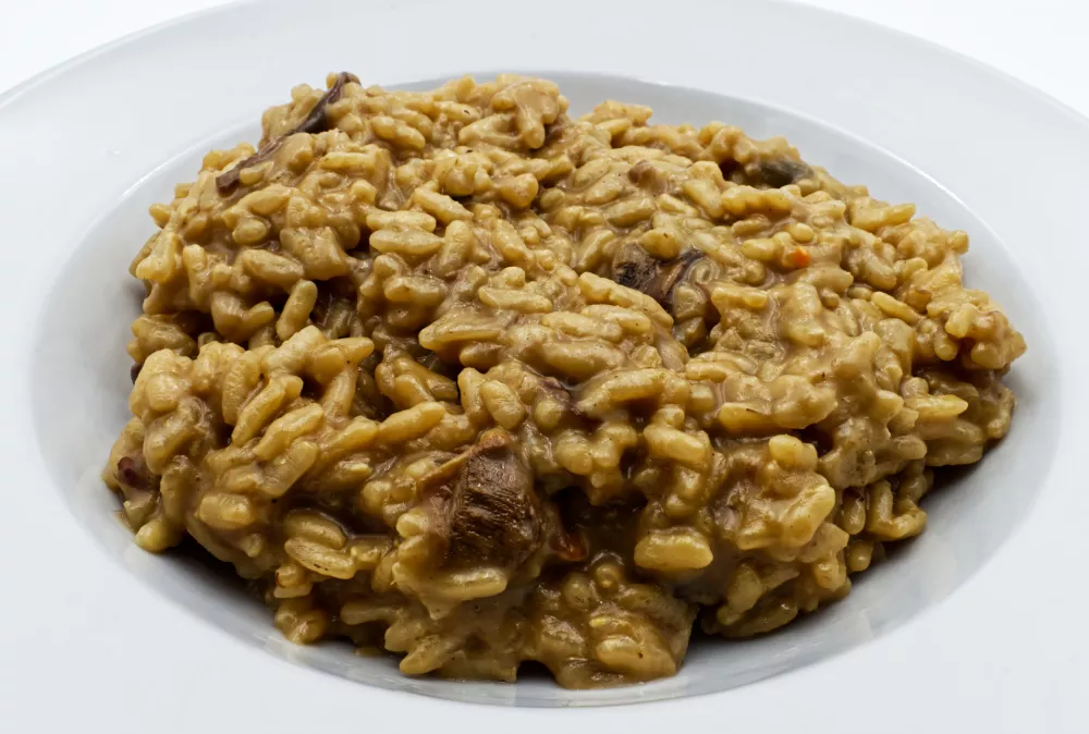 Mushrooms Risotto on white dish isolated on white / Foto: Claudio Caridi