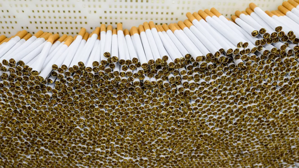 Na videz je med nezakonitimi cigaretami in legalnimi težko opaziti razliko. Slika je simbolična. / Foto: Istock